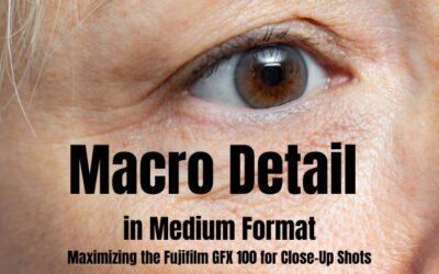 Macro Detail in Medium Format: Maximizing the Fujifilm GFX 100 for Close-Up Shots